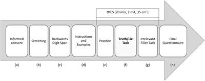 Both High Cognitive Load and Transcranial Direct Current Stimulation Over the Right Inferior Frontal Cortex Make Truth and Lie Responses More Similar